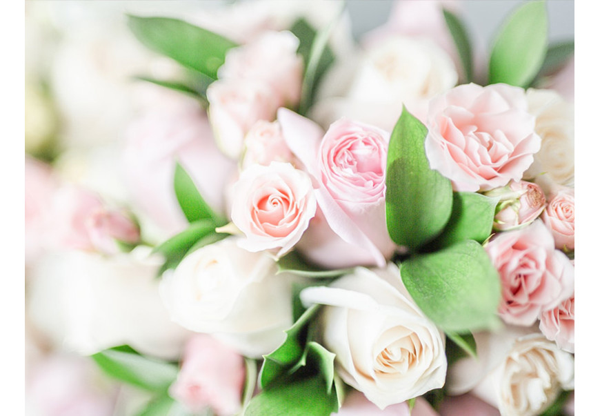 Eum iriure dolor in hendrerit in vulputate